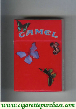 Camel collection version with butterflys cigarettes hard box